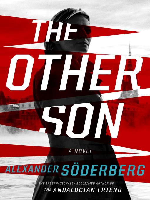 Cover of The Other Son